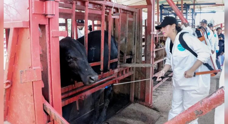 Invierten en Chihuahua más de 150 mdp para proteger el sector agropecuario y la sanidad vegetal y animal