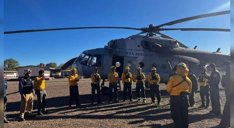 Defensa Nacional realiza descargas de agua para controlar incendios forestales en Chihuahua