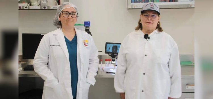 Ponen en marcha el Grupo Estatal para el Control del gusano barrenador en Chihuahua