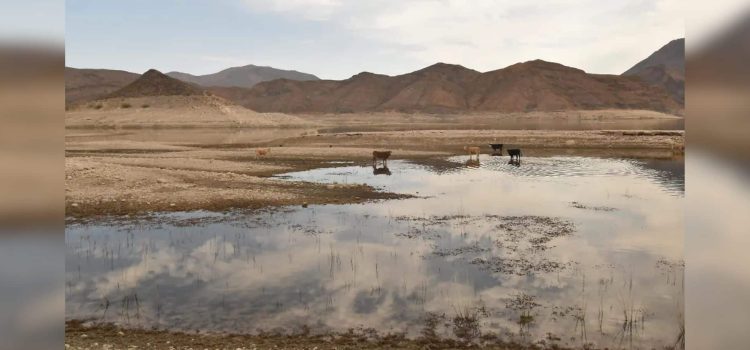 A unos días de los pronósticos de lluvia, cuáles son los niveles de las presas en Chihuahua