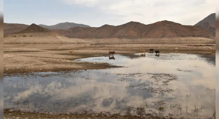 A unos días de los pronósticos de lluvia, cuáles son los niveles de las presas en Chihuahua