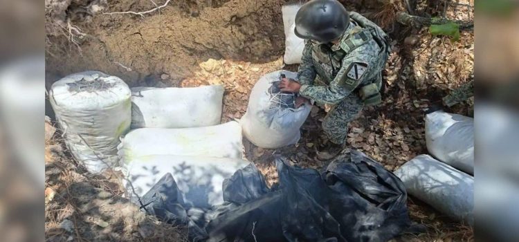 Operativo Frontera Norte asegura 350 kilos de marihuana en la Sierra de Chihuahua