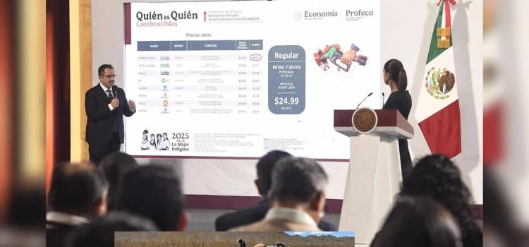 Gasolinera de Chihuahua se destaca como una de las que tiene los precios más elevados: Profeco Gasolinera de Chihuahua se destaca como una de las que tiene los precios más elevados: Profeco