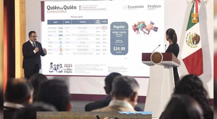 Gasolinera de Chihuahua se destaca como una de las que tiene los precios más elevados: Profeco