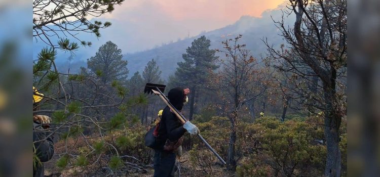 Han sido liquidados 388 incendios forestales en el estado de Chihuahua