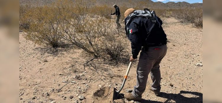 Víctimas del crimen: Terminaron migrantes en fosas clandestinas del noroeste de Chihuahua Víctimas del crimen: Terminaron migrantes en fosas clandestinas del noroeste de Chihuahua