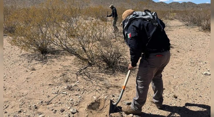 Víctimas del crimen: Terminaron migrantes en fosas clandestinas del noroeste de Chihuahua