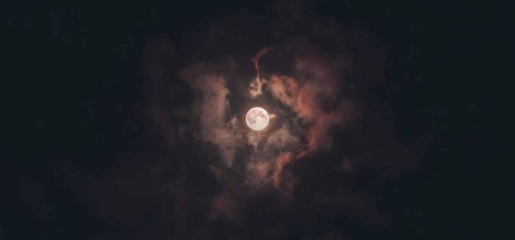 Luna de Flores 2025: Cuándo podrá verse este fenómeno astronómico desde Chihuahua