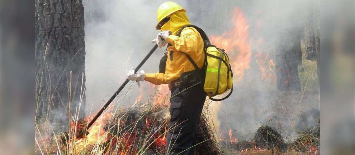 Han muerto en línea de fuego dos combatientes de incendios forestales en el estado de Chihuahua Han muerto en línea de fuego dos combatientes de incendios forestales en el estado de Chihuahua