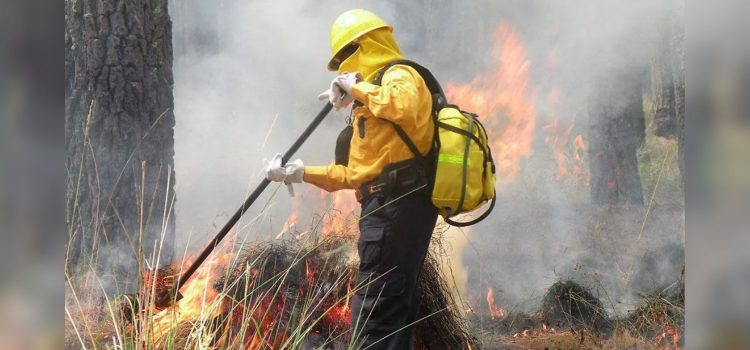 Han muerto en línea de fuego dos combatientes de incendios forestales en el estado de Chihuahua