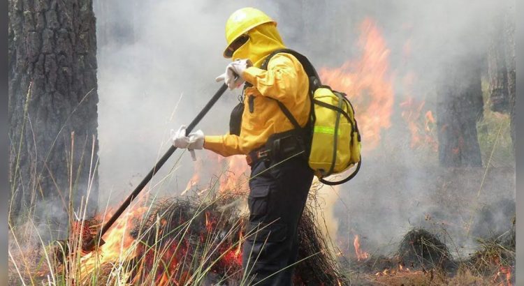 Han muerto en línea de fuego dos combatientes de incendios forestales en el estado de Chihuahua