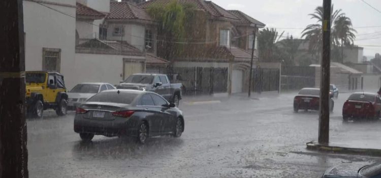Disminuye sequía excepcional en un 50% en el estado de Chihuahua