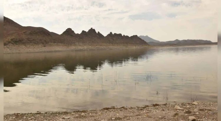 Presas de Chihuahua siguen a la baja; 10 presas del estado reportan promedio de almacenamiento de 16.6 por ciento