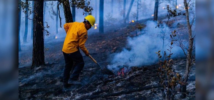 Se han liquidado 500 incendios forestales en Chihuahua durante 2025