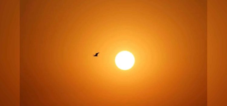 ¡Ni el infierno! Cuáles son los municipios de Chihuahua donde hace más calor