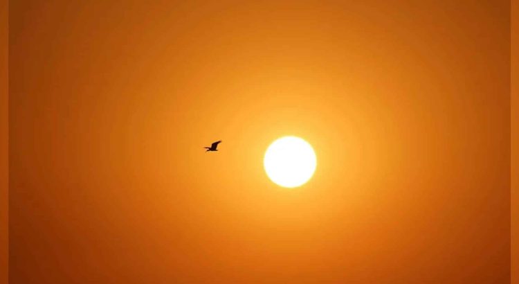 ¡Ni el infierno! Cuáles son los municipios de Chihuahua donde hace más calor
