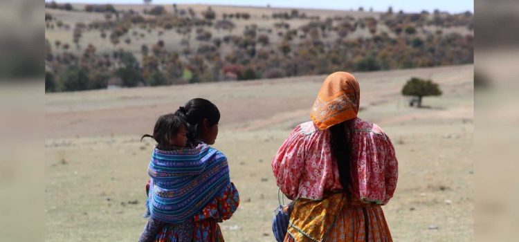 Más desplazados en la Sierra de Chihuahua