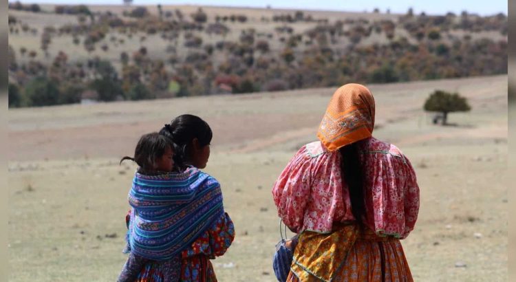 Más desplazados en la Sierra de Chihuahua