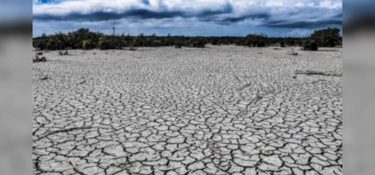 Abandonan comunidad en Chihuahua por falta de agua