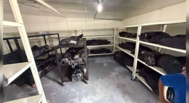 Entregaban cenizas de animales en lugar de restos humanos en crematorio de Juárez: Harfuch