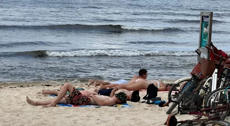 Disminuye presencia de sargazo en playas de Tulum