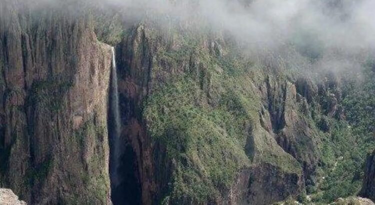 Piedra Volada recupera su cauce: así luce la cascada intermitente más alta de México Piedra Volada recupera su cauce: así luce la cascada intermitente más alta de México