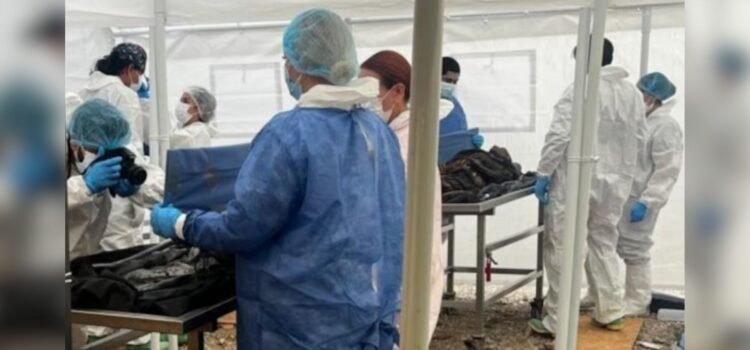 Suman 86 cuerpos identificados en Crematorio Plenitud, Fiscalía de Chihuahua sigue con investigaciones