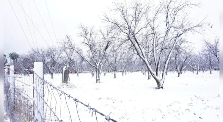 Pronostican seis tormentas invernales para esta temporada; la primera podría llegar entre noviembre y diciembre Pronostican seis tormentas invernales para esta temporada; la primera podría llegar entre noviembre y diciembre