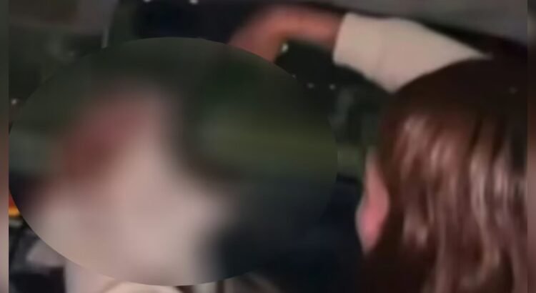 Exigen castigo contra jóvenes que alcoholizaron a perrita en Chihuahua y lo presumieron en redes Exigen castigo contra jóvenes que alcoholizaron a perrita en Chihuahua y lo presumieron en redes