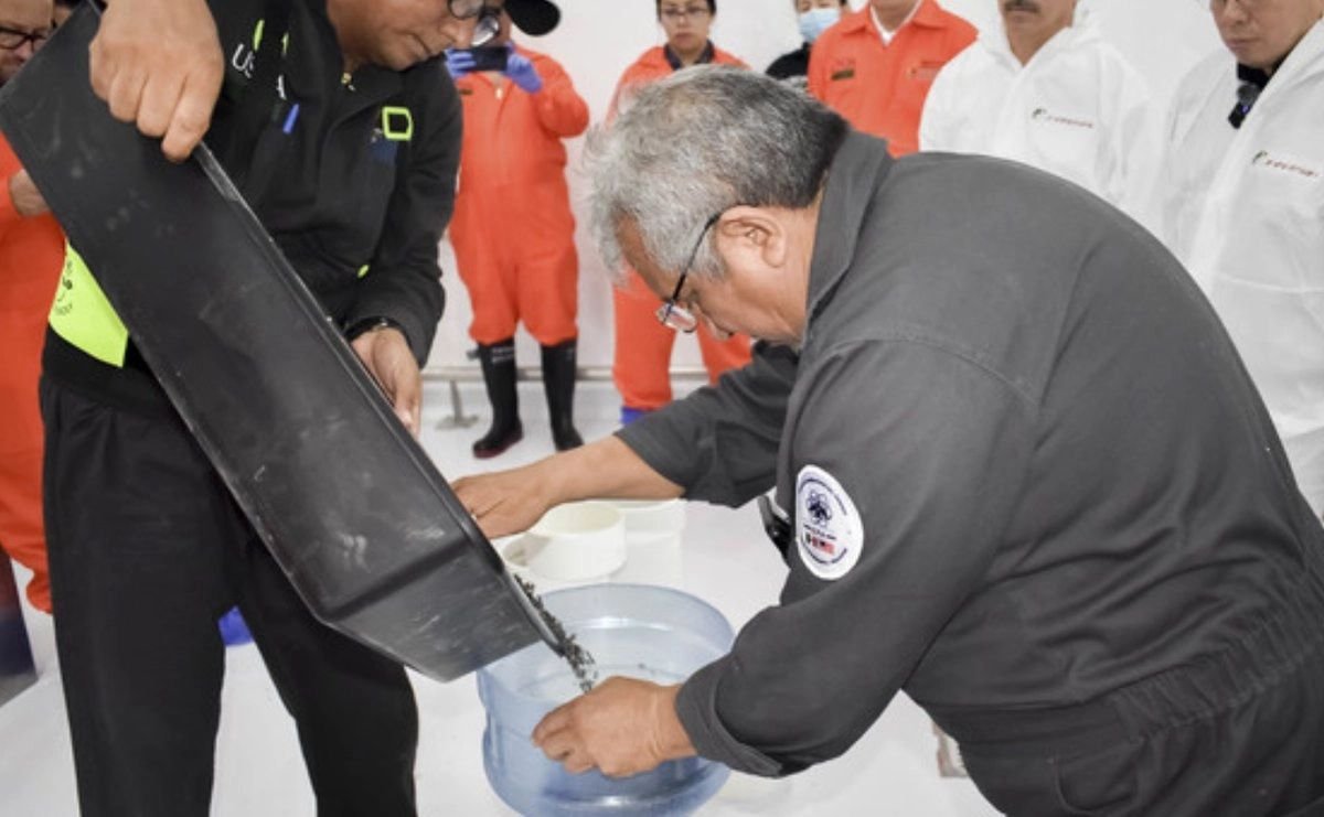 Liberan en Chihuahua primer lote de moscas estériles producido en México contra gusano barrenador